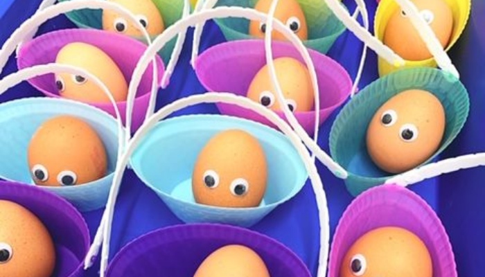 Egg baby project 2025